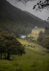 Yarumero UFO Cabin in the Tabio Mountains - Image 4
