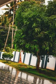 Amrutham Peaceful Independent Stay Trivandrum - Image 4