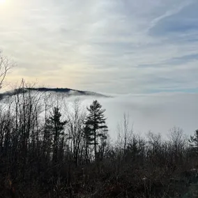 Secret Mountain Cabin/Catskills Views/100-Acres - Image 2