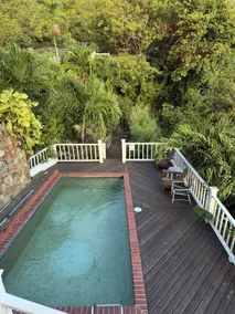 BLUE PEARL VILLA in St John USVI - breathtaking ocean views, private pool, backup power, air conditioning, gated - Image 5