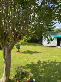 Spencer Cottage • Bright Home Near Downtown - Image 4