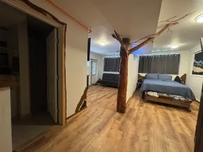 Apt - within 3 miles of downtown - Image 4
