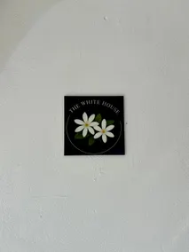 Tekoerani - The white house - Image 2