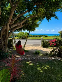 Iriomote Island Ocean View Private Building Ocean View House in Iriomote - Image 2