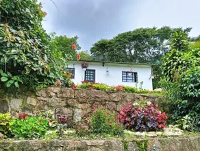 Villa Alegría - Image 2