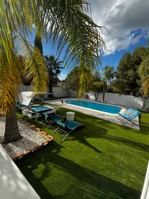 Villa Palmera - Image 4