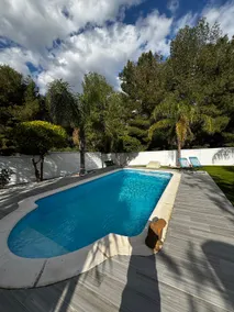 Villa Palmera - Image 2