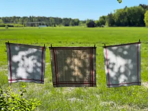 Villa San Juan: Forest and Nearby Baltic Sea” - Image 3