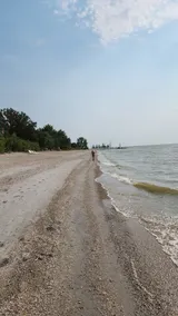 Sandpiper Haven *beachfront*fully renovated * - Image 3