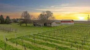 Escape To Our Riesling Retreat With Vineyard Views - Image 4