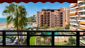 El Remo Deluxe - Image 5