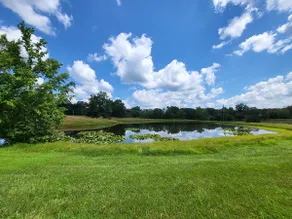 Pondview Escape a 75-Acre Retreat - Image 3
