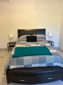 Samson Suite - Image 4