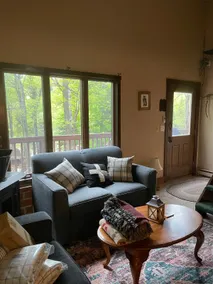 Snowy Owl Lodge - Right Side(formerly Hot Springs) - Image 4