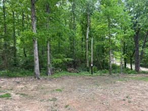 Little Bear Cove - Image 3