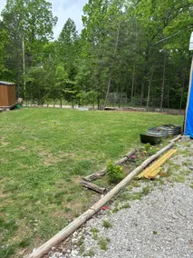 Little Bear Cove - Image 4