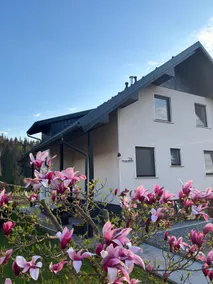 Apartment Tanja 3 Bedroom, Mountain View & Family Stay - Image 2