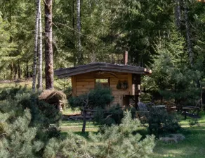 Meškapiestis Apiary - Image 4