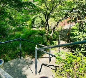1950s 5BR Walk to Downtown Garden Setting Home! - Image 3