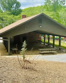 1950s 5BR Walk to Downtown Garden Setting Home! - Image 2