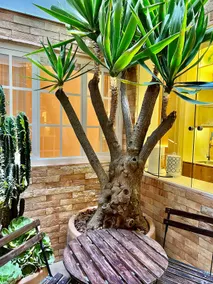 Trendy designer apartment in the heart of Roma! - Image 4