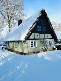 Historic thatched roof skates on the Elbe dyke - Image 4