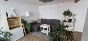 Charming + newly renovated house near the airport - Image 2