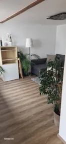 Charming + newly renovated house near the airport - Image 5