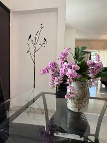 Relaxing separate room with mini garden - Image 3