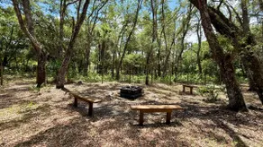 The peaceful nest - relaxing nature escape - Image 4