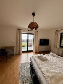 Central Salzburg Apartment - Image 3