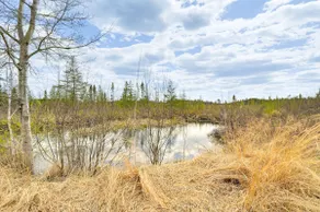 Hunt, Fish & Boat: Northwoods Hideaway - Image 5