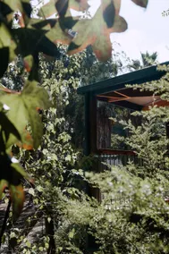 Kookaburra Cottage - peaceful forest hideaway - Image 5