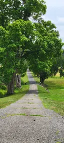 Historic Mini Barn Loft Lodge: Aug Special $299 - Image 4