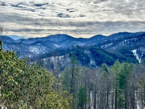 Romantic A-Frame, 7 Private Acres w Mountain Views - Image 4
