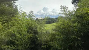 Forest cabin - Image 4