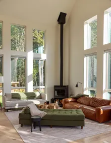 Vinyl Pines · Architect Cabin, Hot Tub + Sauna - Image 2
