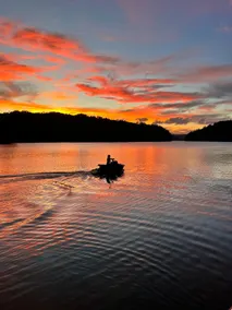 Blue Royale on Watts Bar Lake! BRING YOUR BOAT! - Image 2