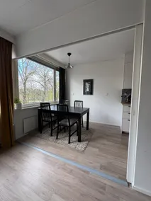 Large 2h +k, balcony & lake view - Image 4