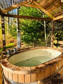 Historic tiny lakeside cabin & secluded hot tub - Image 2
