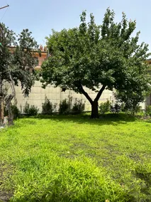 Villa Sara on Etna - Image 2