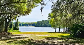 Sweet Tea Cottage • Lakefront • Beach • Fire pit - Image 3