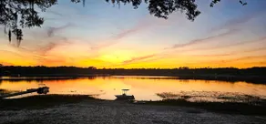 Sweet Tea Cottage • Lakefront • Beach • Fire pit - Image 5