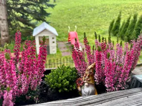 Alpine Retreat - Image 5