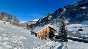 Alpine Retreat - Image 3