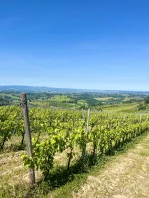 Romantic Chianti Escape with Jacuzzi & Pool - Image 4