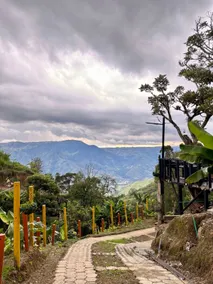 Villa Molina Farm - Barbosa - Image 3