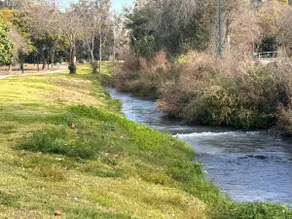 On the stream in the kibbutz - Image 1
