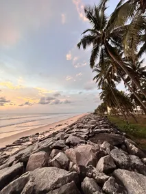 Nidhi Delta Home Stay - Image 2