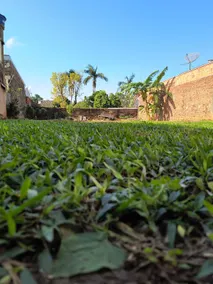 Spring - Image 5